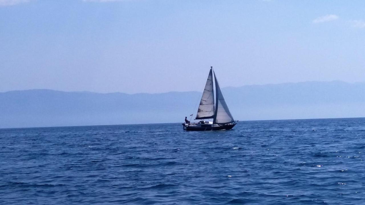 Central Modern Apt Struga Eksteriør billede